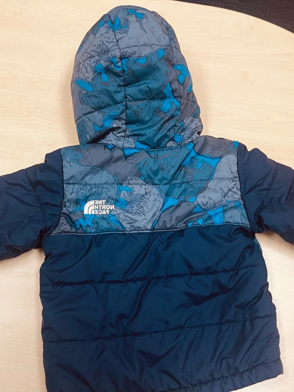 The North Face Navy and Teal Patterned Hooded Puffer Jacket